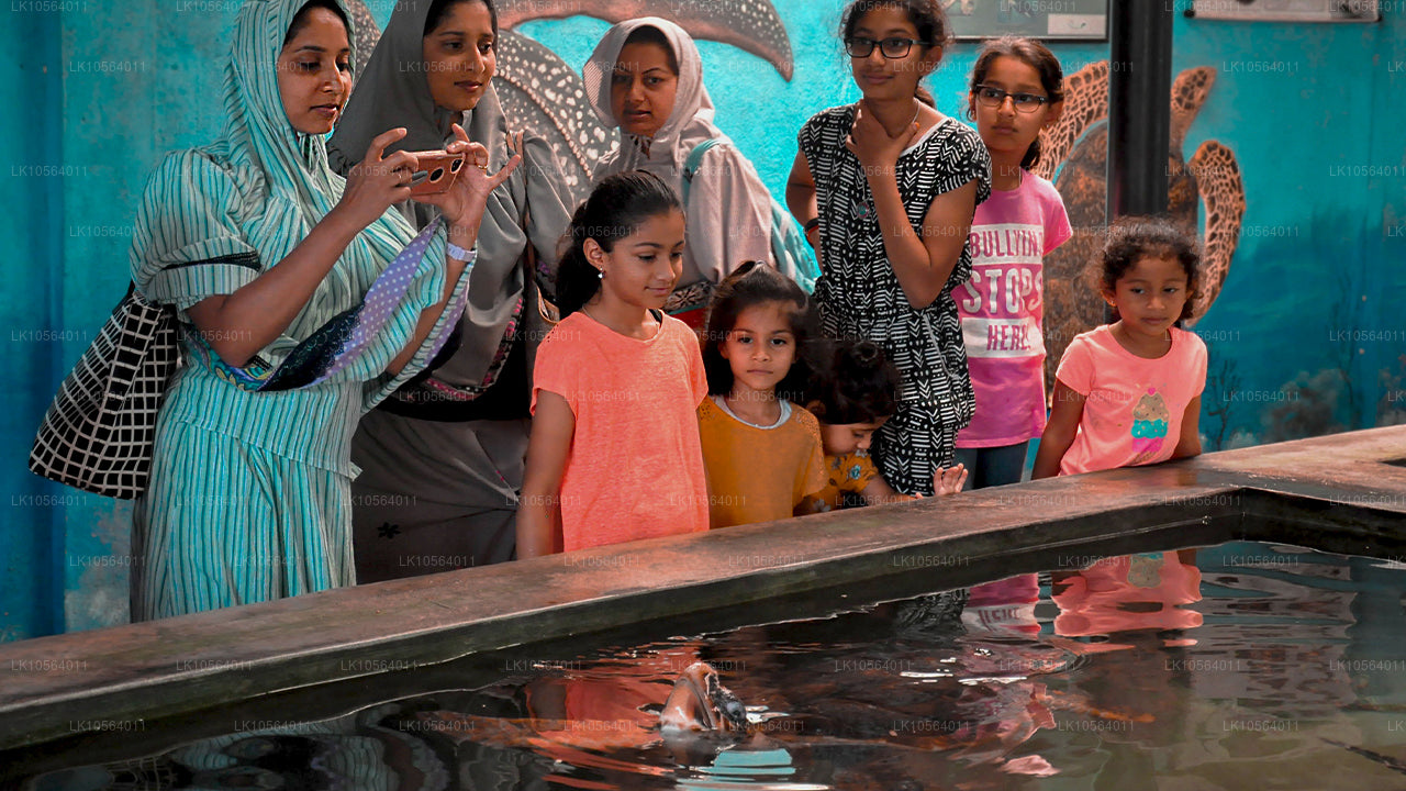 Sevärdheter i Sri Lanka (5 dagar)