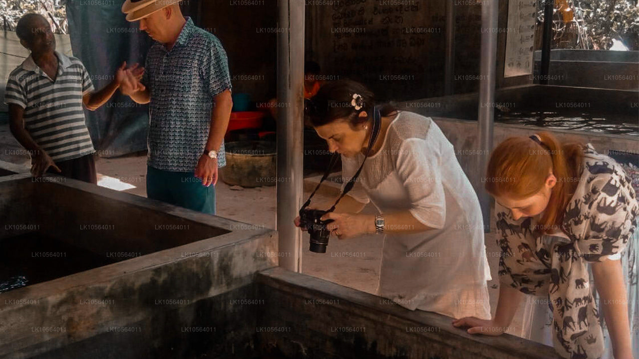 Sevärdheter i Sri Lanka (5 dagar)