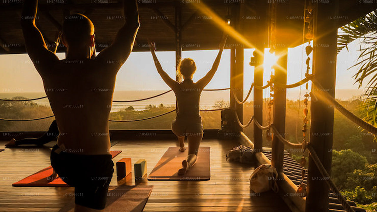 Meditation och Yoga Tour (5 Dagar)