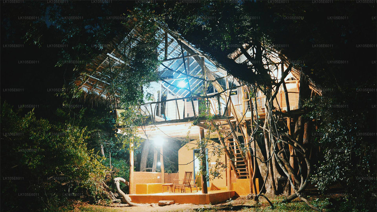 Eco Tours i Sri Lanka (6 Dagar)