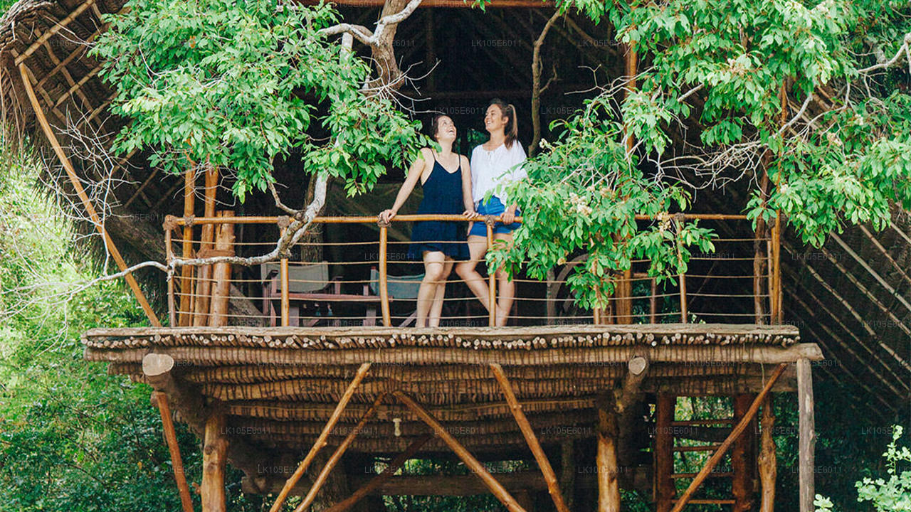 Eco Tours i Sri Lanka (6 Dagar)