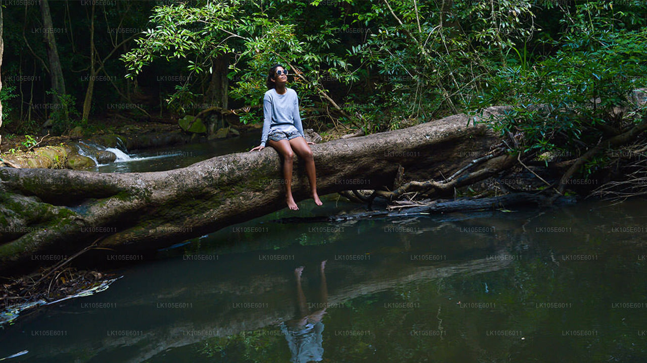 Eco Tours i Sri Lanka (6 Dagar)