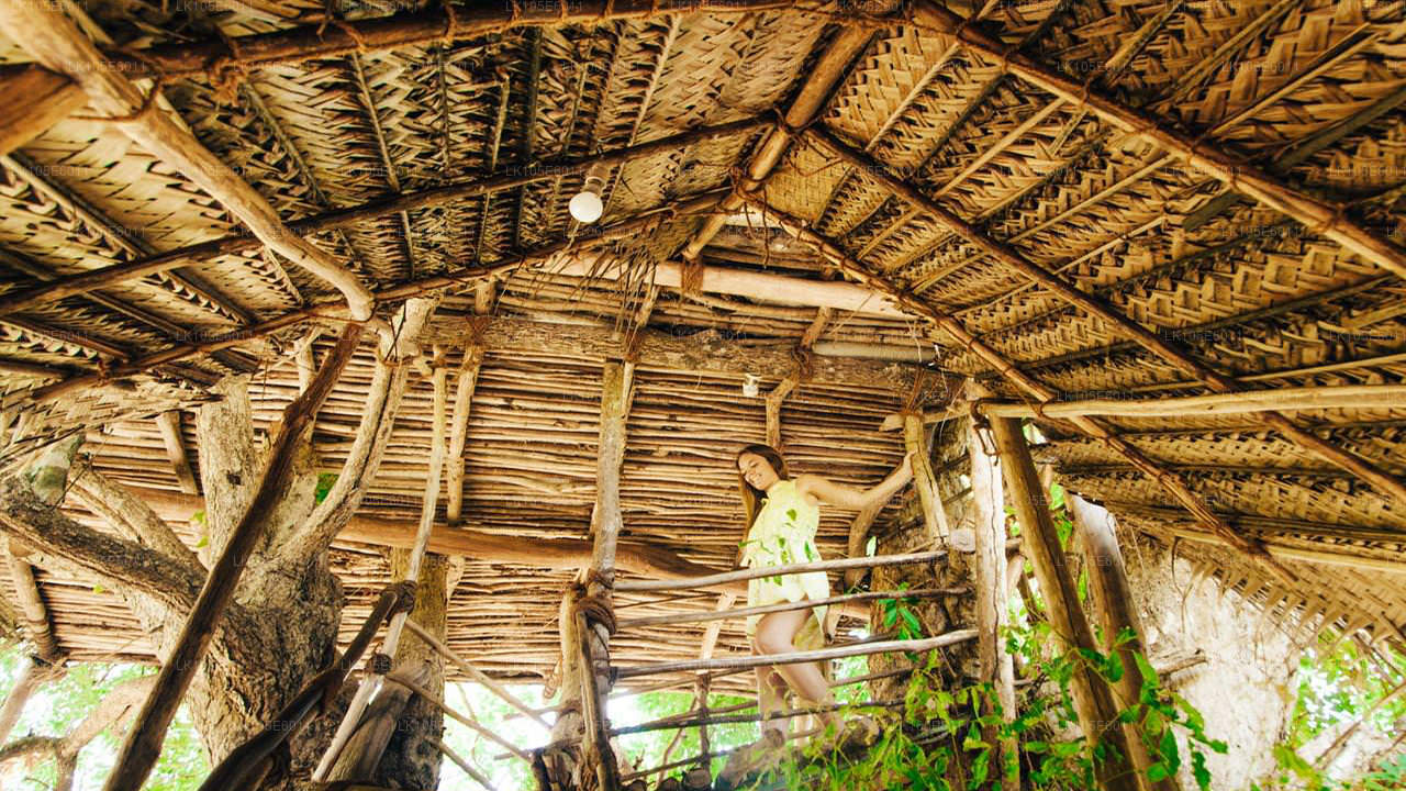 Eco Tours i Sri Lanka (6 Dagar)