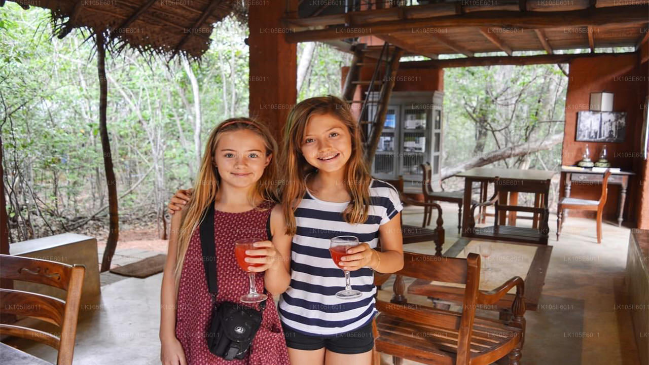 Eco Tours i Sri Lanka (6 Dagar)