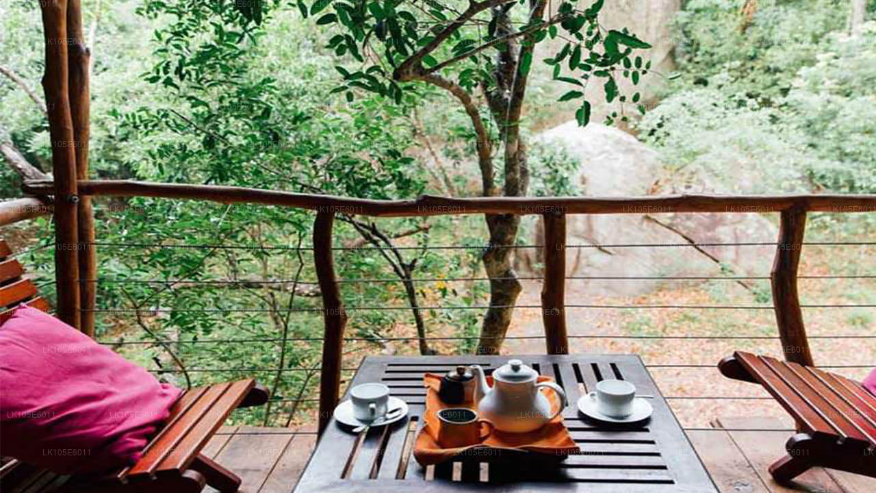 Eco Tours i Sri Lanka (6 Dagar)