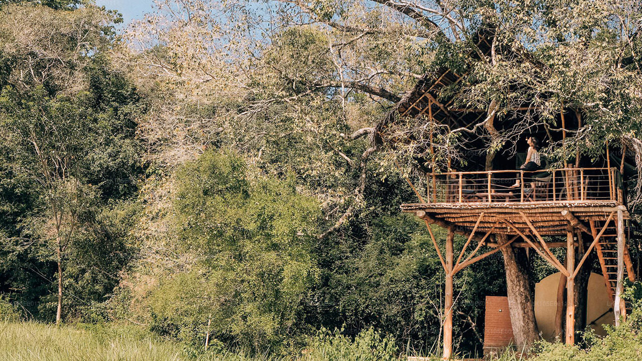 Eco Tours i Sri Lanka (6 Dagar)