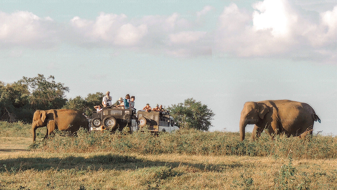 Fantastiska Sri Lanka (6 Dagar)