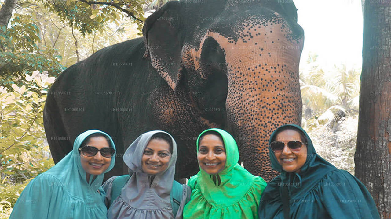 Natur, kullar och vilda djur (6 dagar)