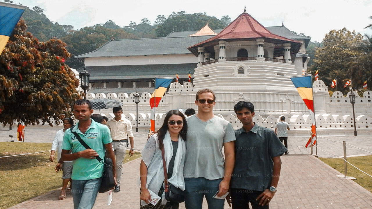 Natur, kullar och vilda djur (6 dagar)