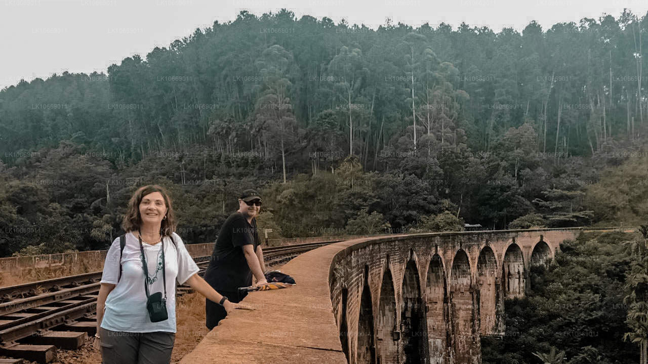 Natur, kullar och vilda djur (6 dagar)