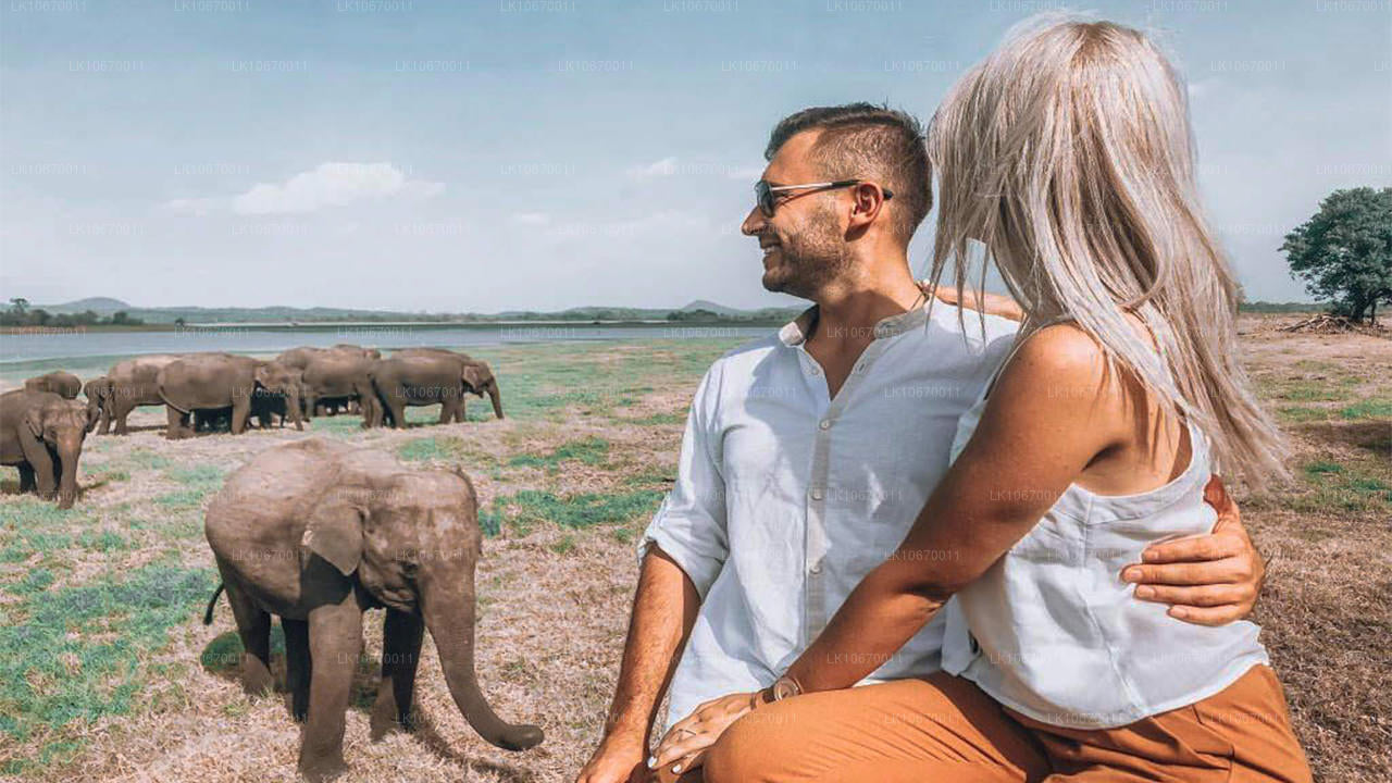 Kulturellt och centralt land (6 dagar)