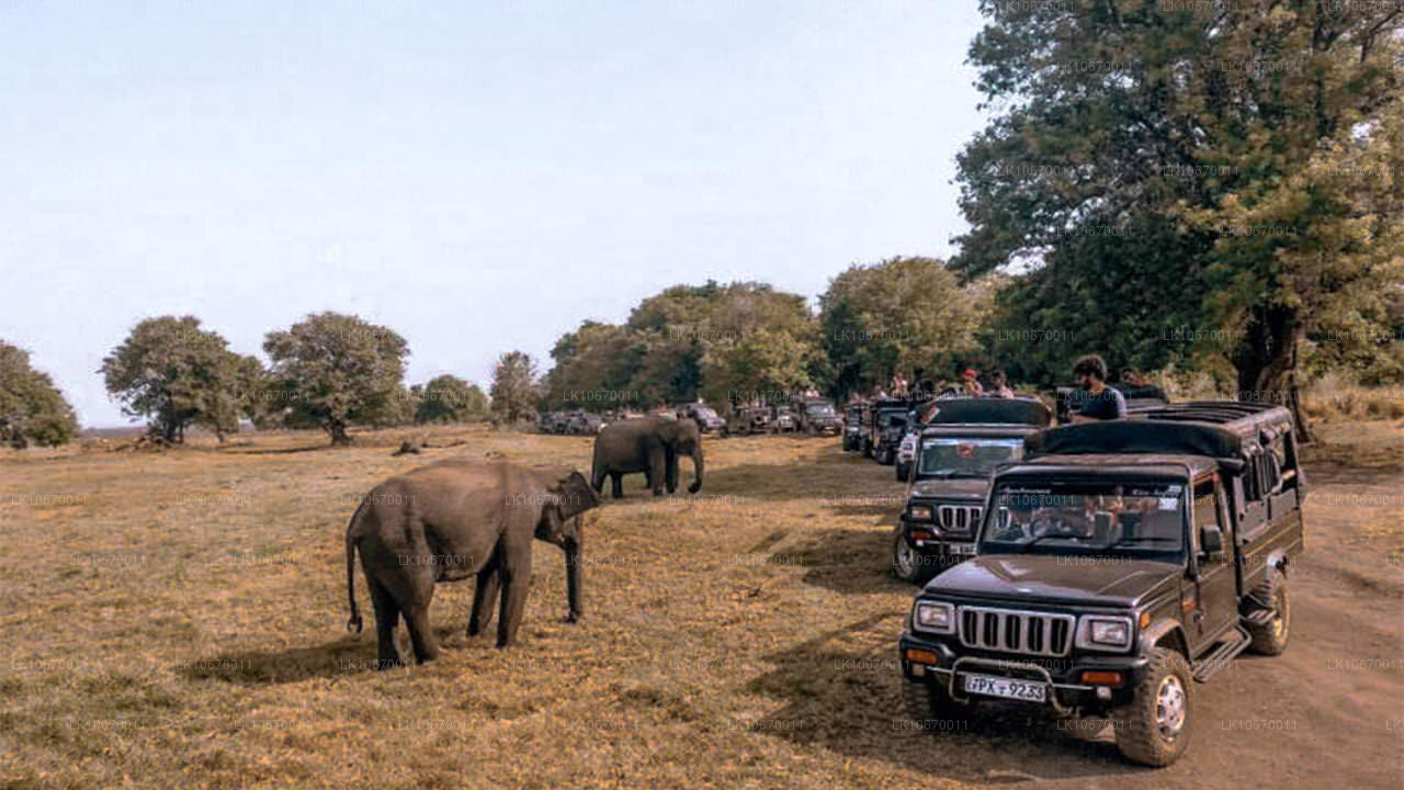 Kulturellt och centralt land (6 dagar)