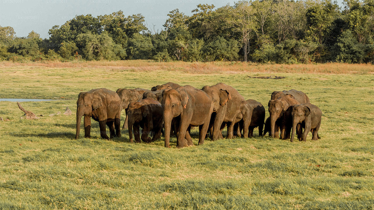 Kulturellt och centralt land (6 dagar)