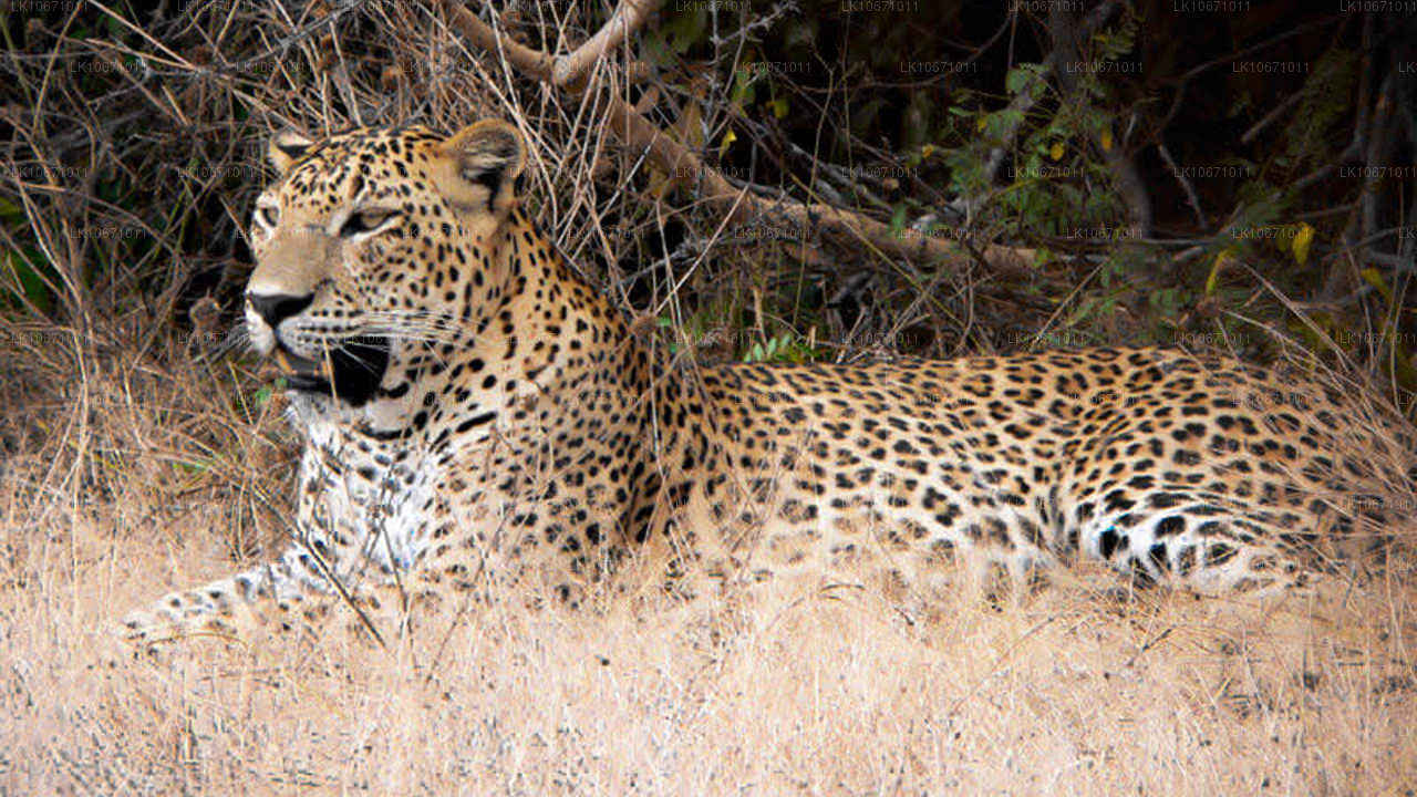 Ramayana Trail (6 Dagar)