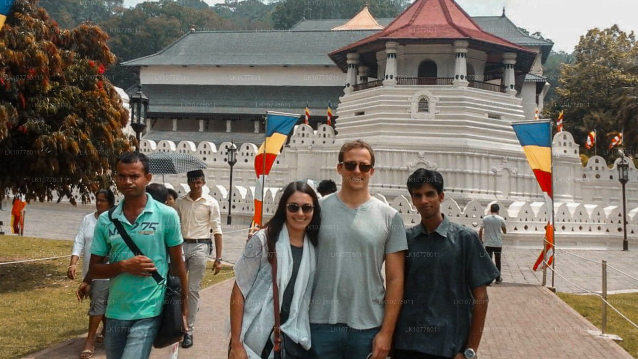 Trail runt paradiset (7 dagar)