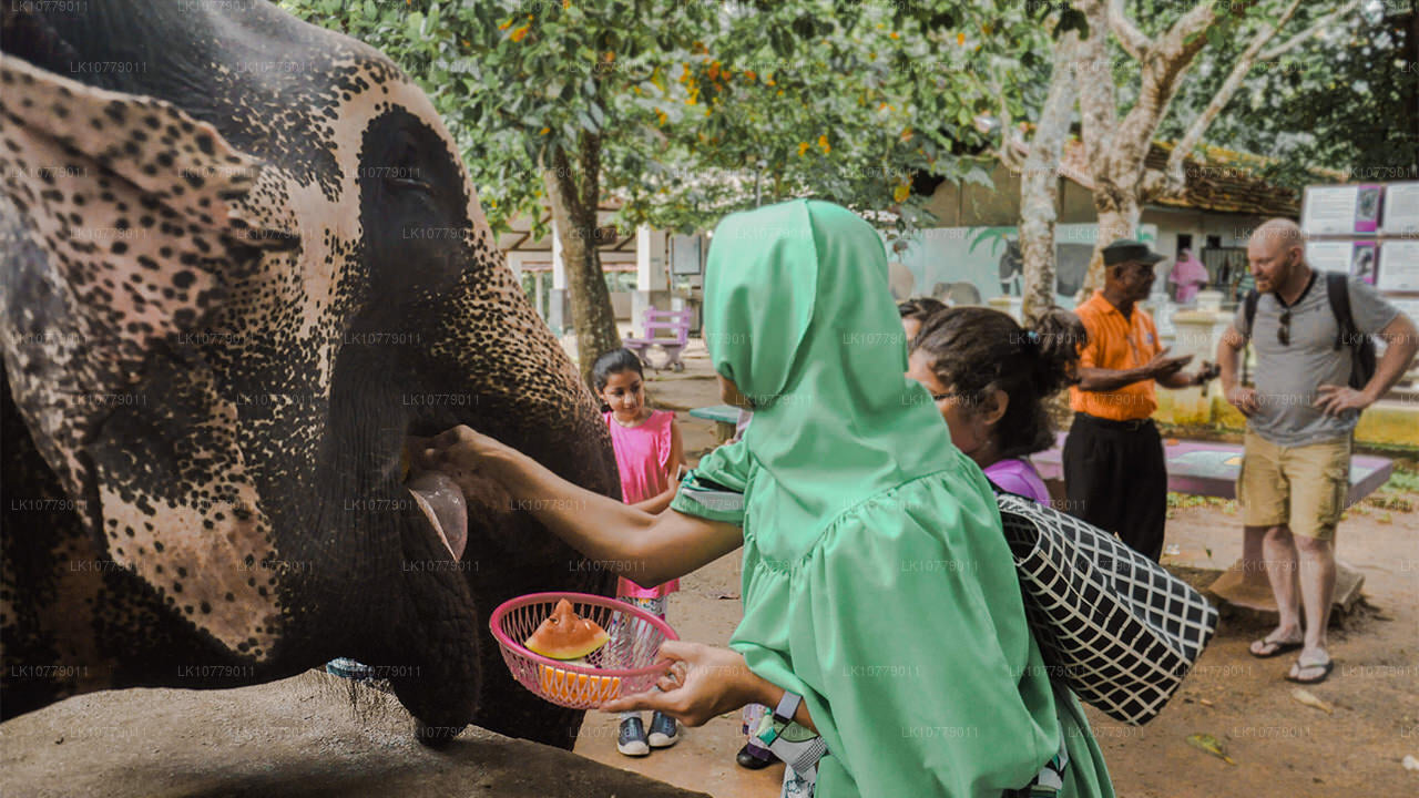 In i bergen (7 dagar)