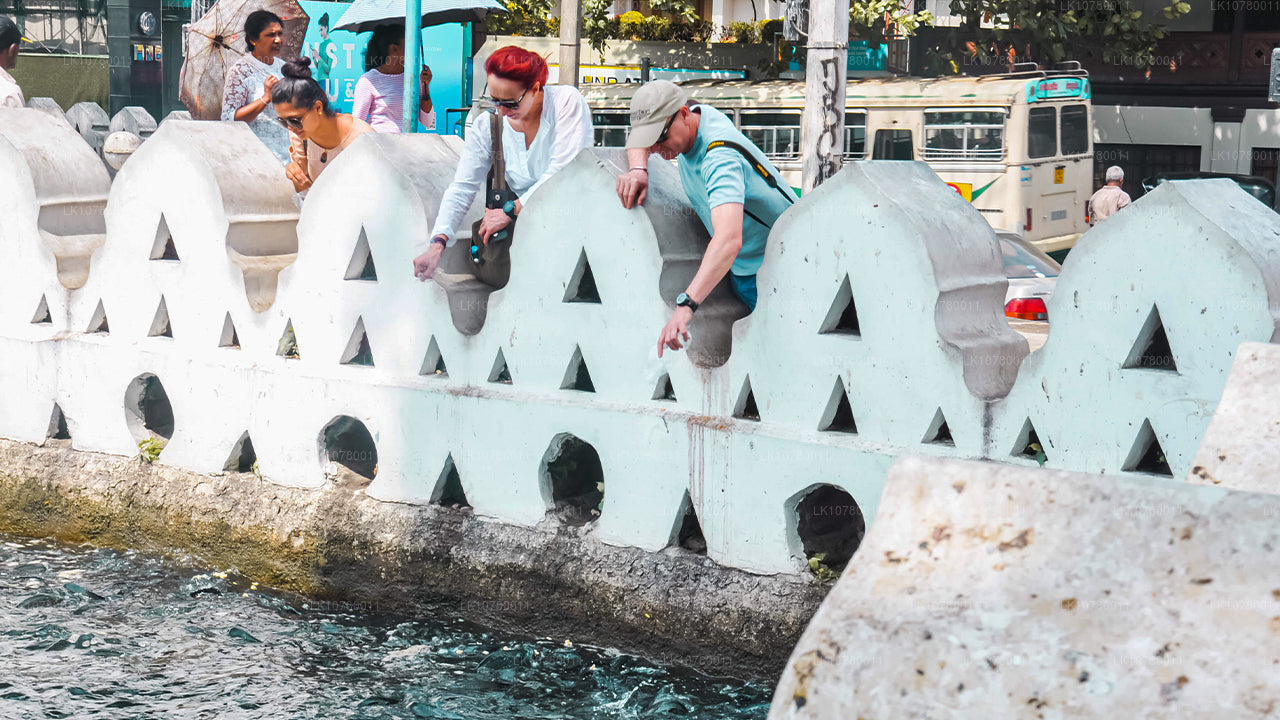 Blandning av strand och kullar (7 dagar)