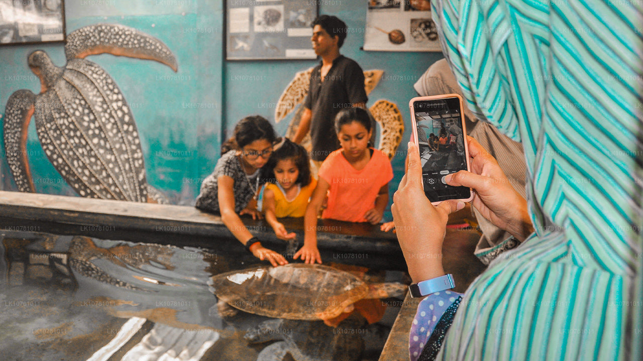 Söderns gyllene kust (7 dagar)