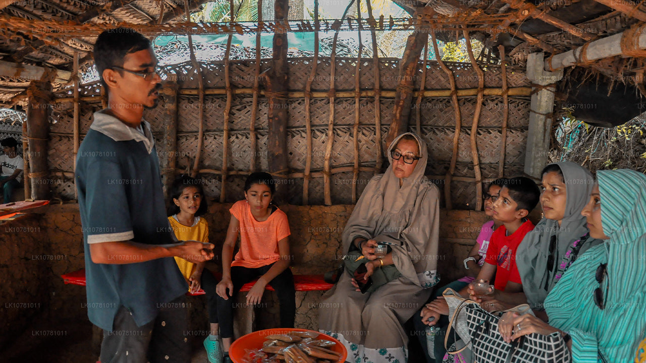 Söderns gyllene kust (7 dagar)