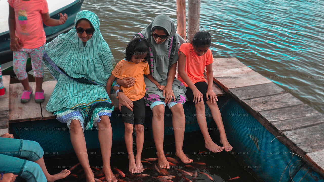 Söderns gyllene kust (7 dagar)