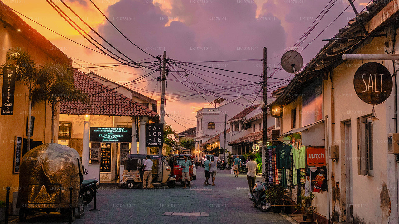 Söderns gyllene kust (7 dagar)