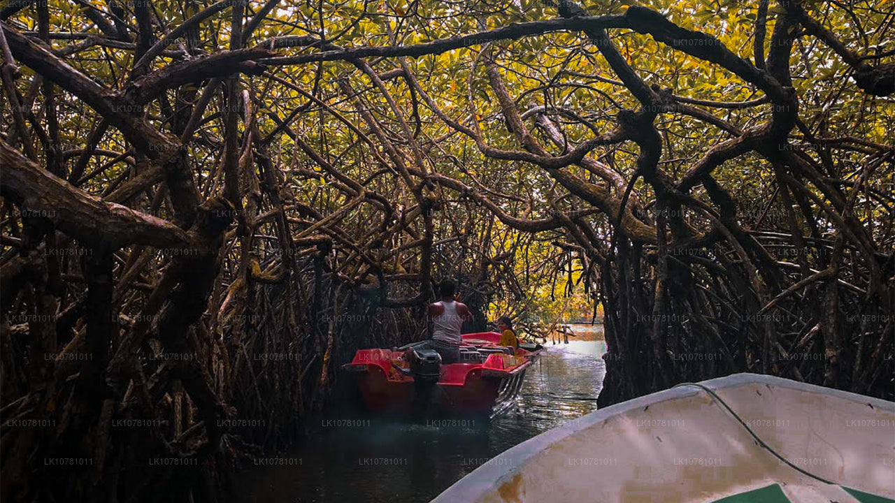 Söderns gyllene kust (7 dagar)