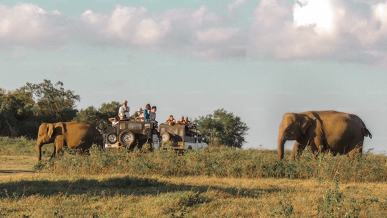 Östens underverk (7 dagar)