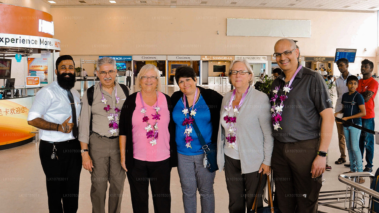 Den stora 5 i södra kustsäsongen (7 Dagar)