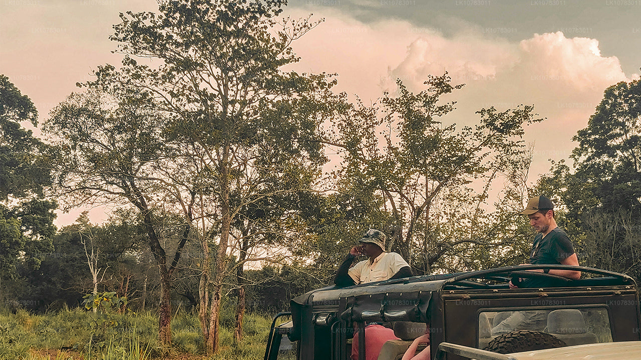 Den stora 5 i södra kustsäsongen (7 Dagar)