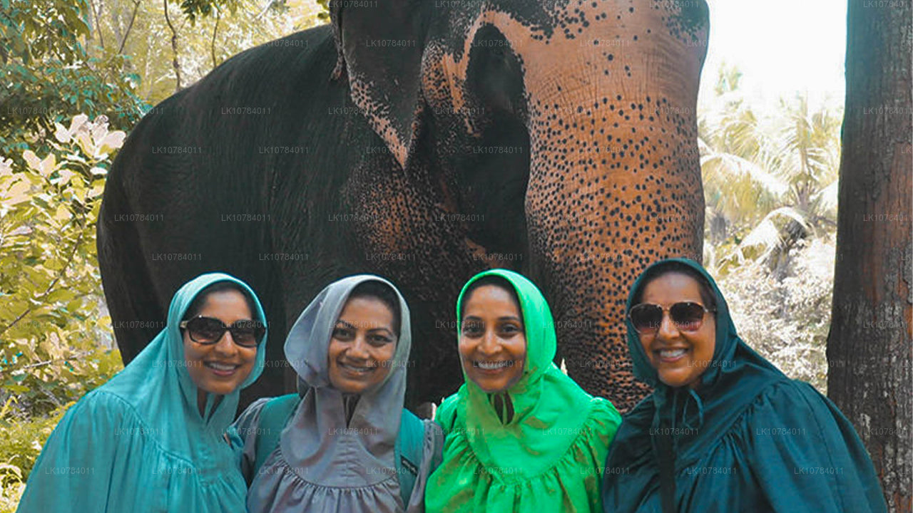 Sri Lanka Halal (Islamisk) Tour (7 Dagar)