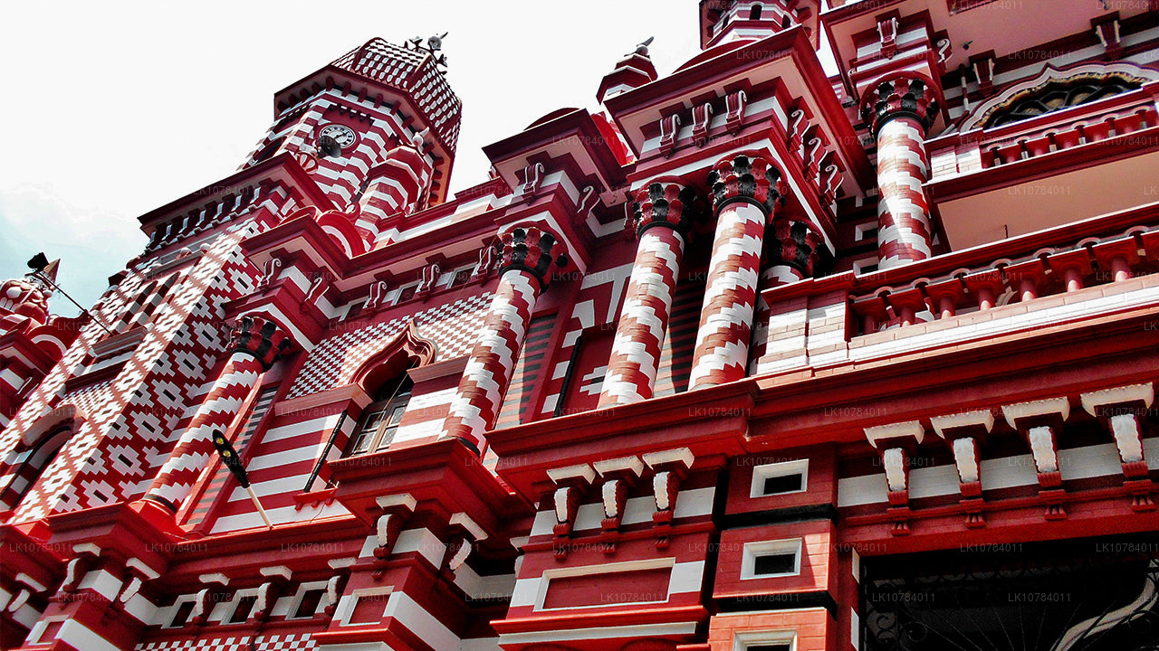 Sri Lanka Halal (Islamisk) Tour (7 Dagar)