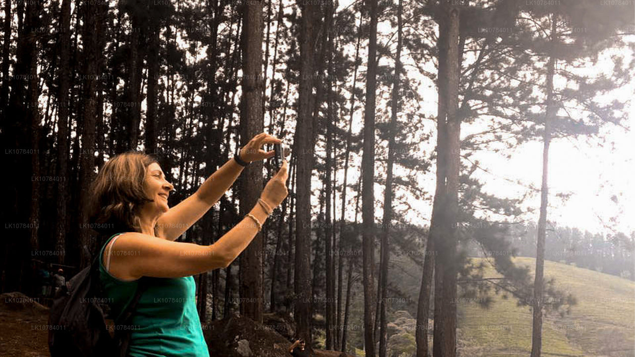 Sri Lanka Halal (Islamisk) Tour (7 Dagar)