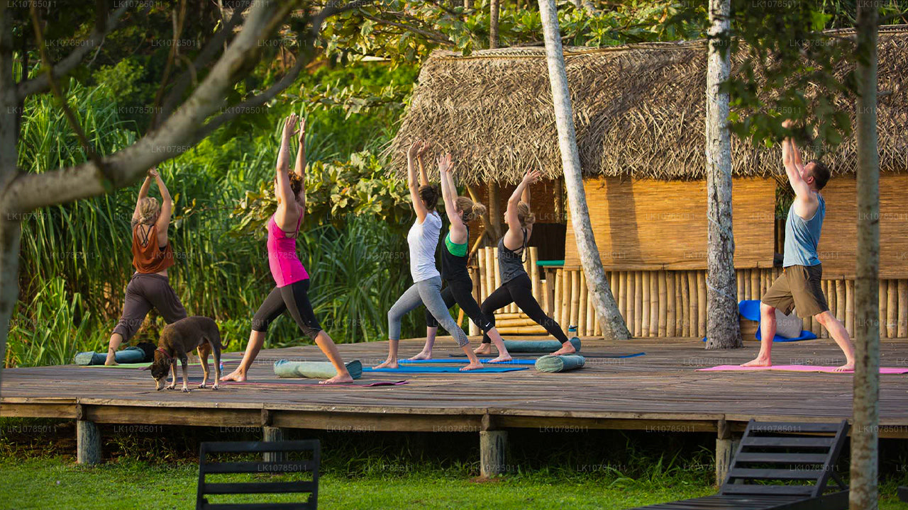 Ayurveda Getaway på Wadduwa (7 dagar)