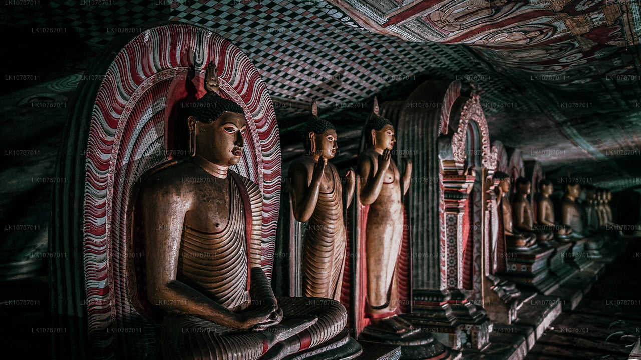 Uncharted Ceylon (7 Dagar)