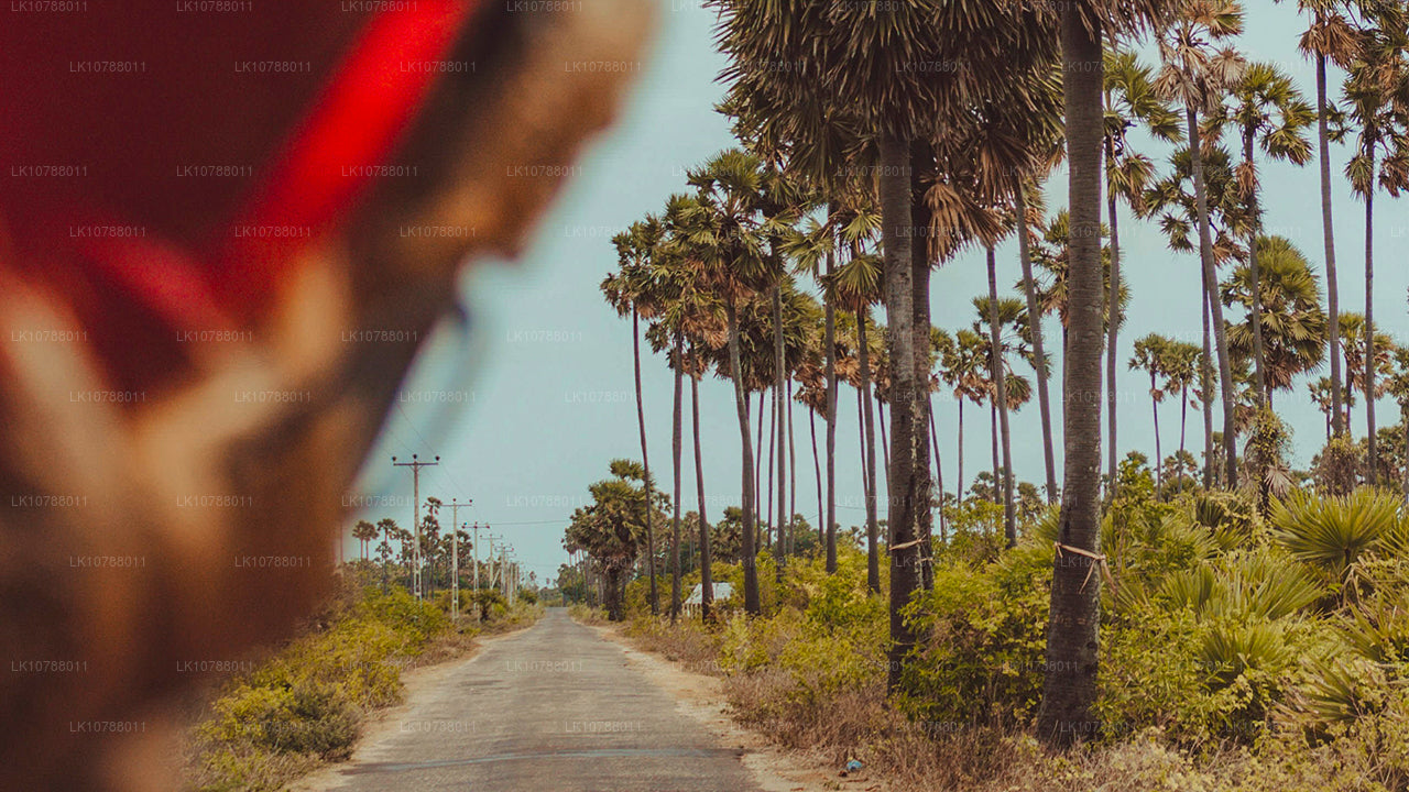 Otroligt Jaffna (7 Dagar)