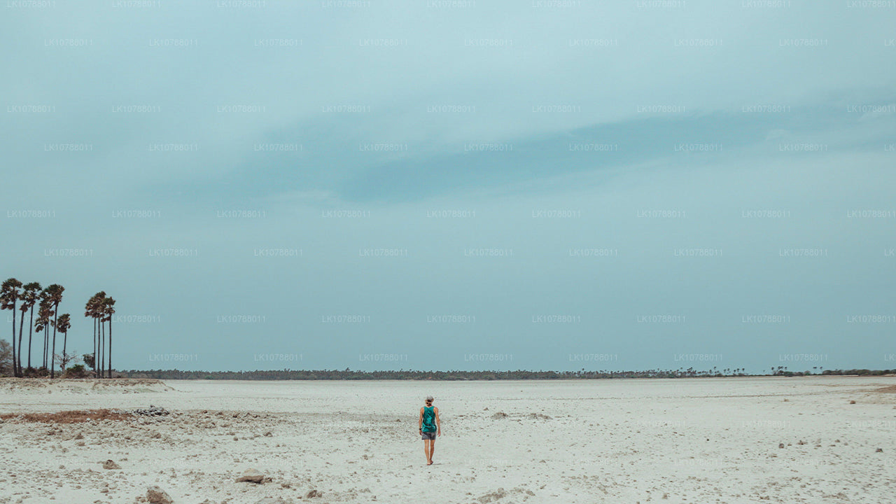 Otroligt Jaffna (7 Dagar)