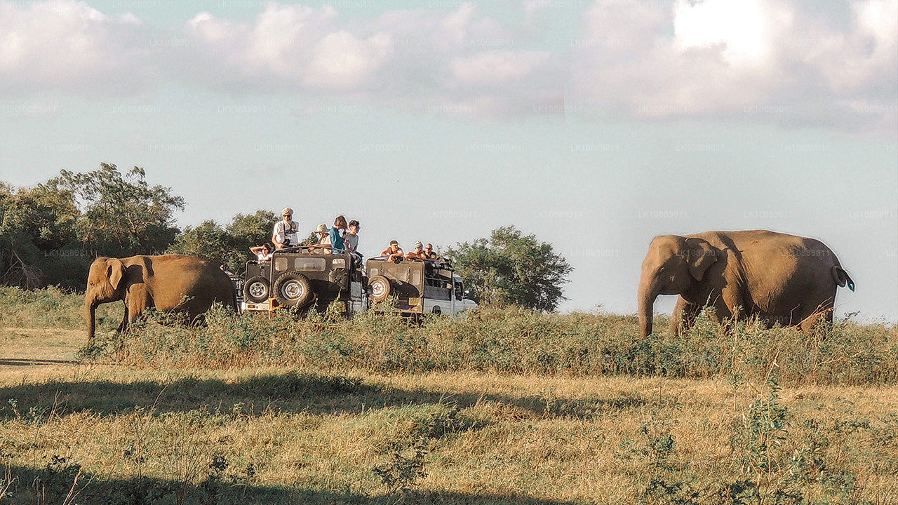 Gå mitt i kultur (8 dagar)