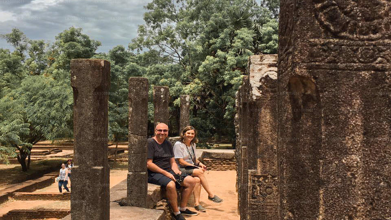 Gå mitt i kultur (8 dagar)