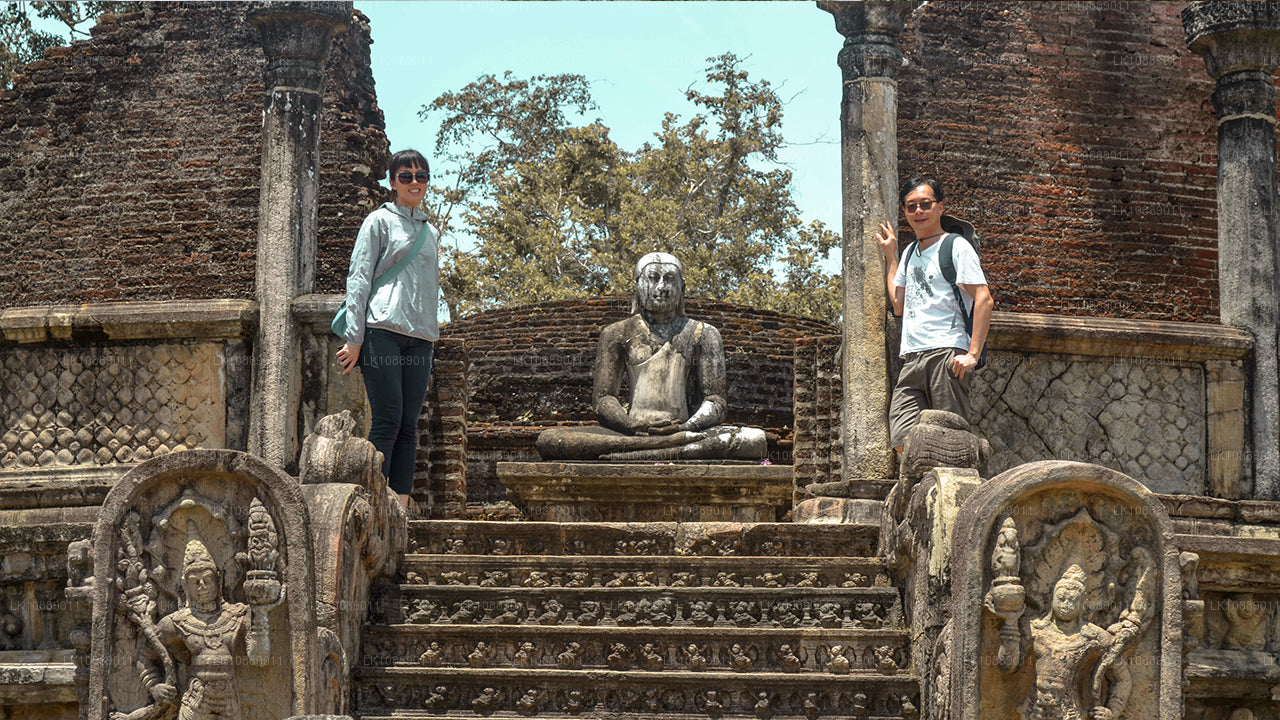 Gå mitt i kultur (8 dagar)