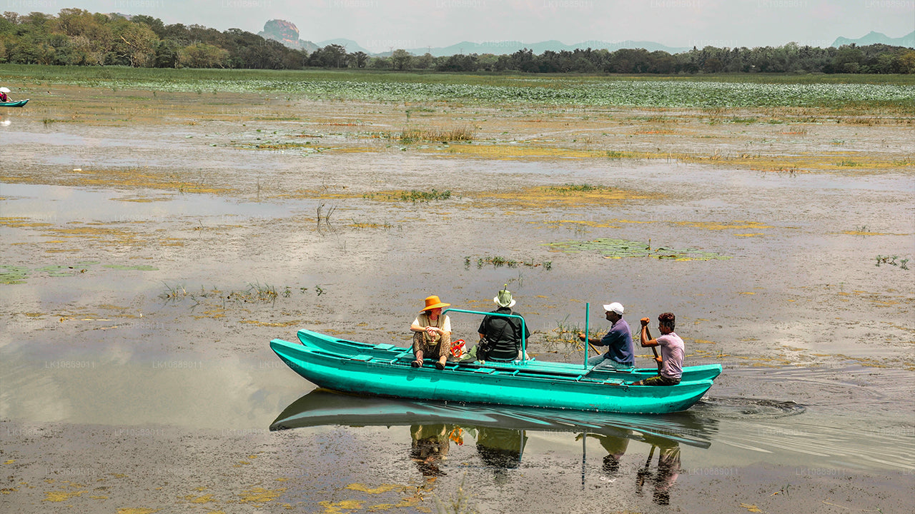 Gå mitt i kultur (8 dagar)