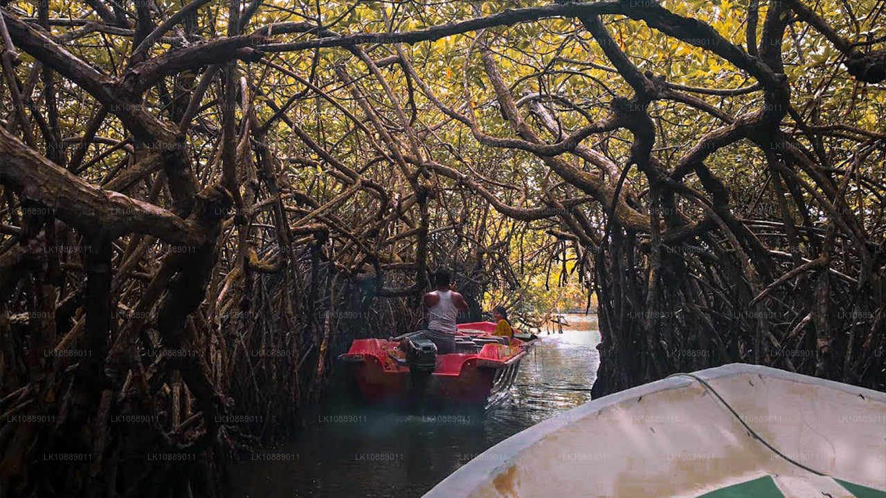 Gå mitt i kultur (8 dagar)