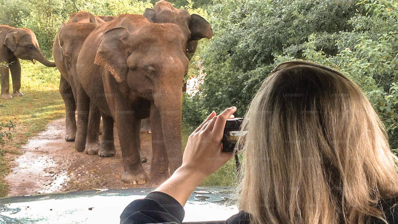 Gå mitt i kultur (8 dagar)