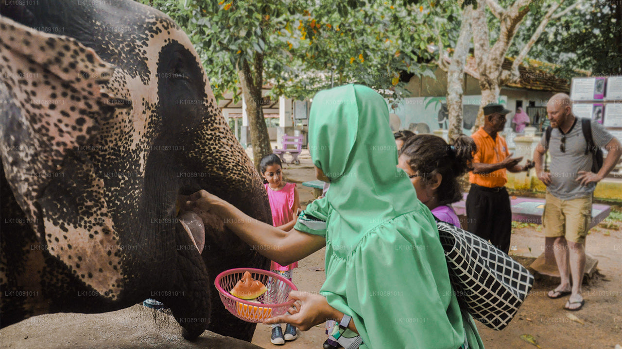Quintessential Ceylon (8 Dagar)