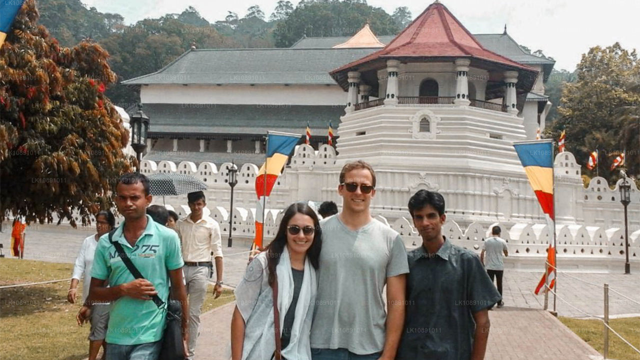 Quintessential Ceylon (8 Dagar)