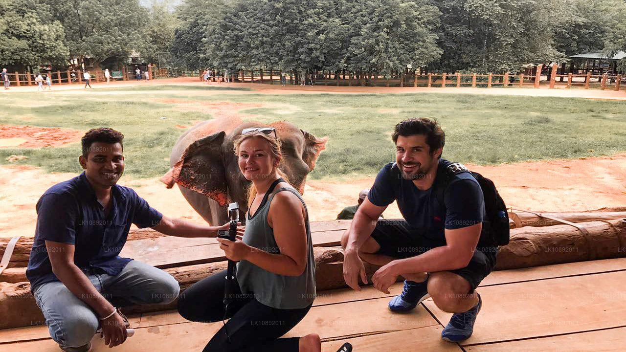 Kultur, vildmark och natur (8 dagar)