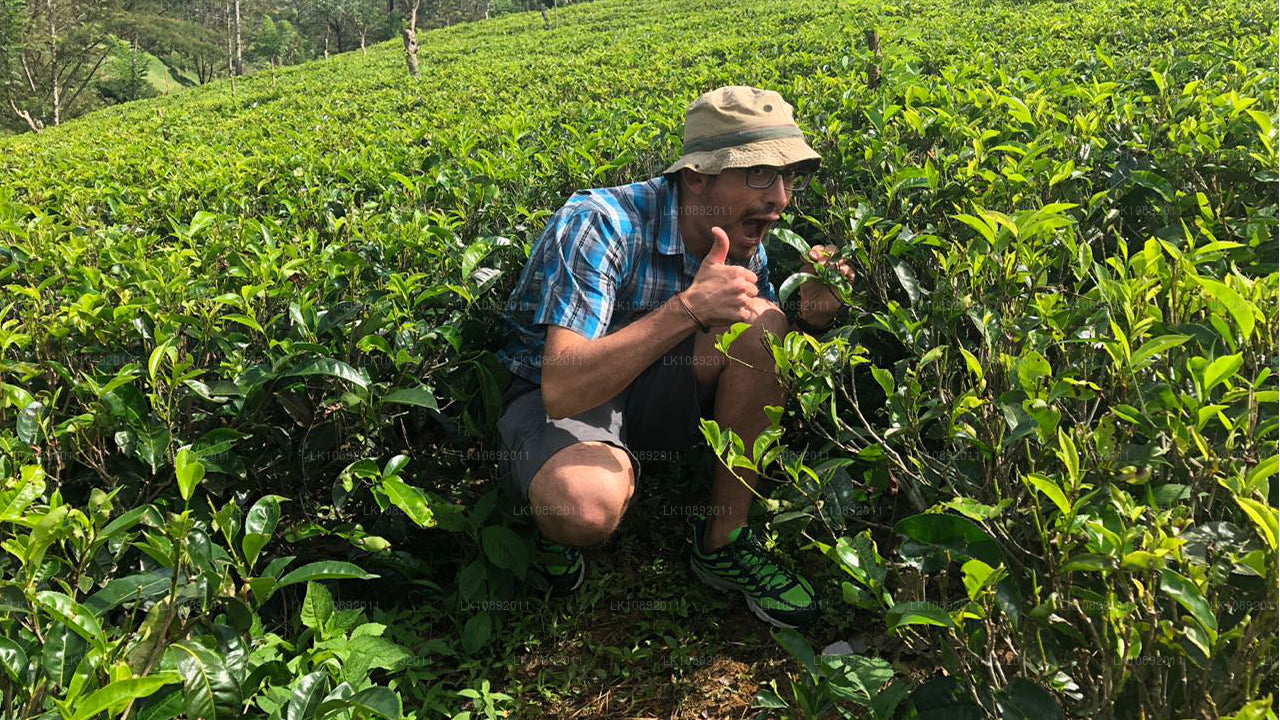 Kultur, vildmark och natur (8 dagar)