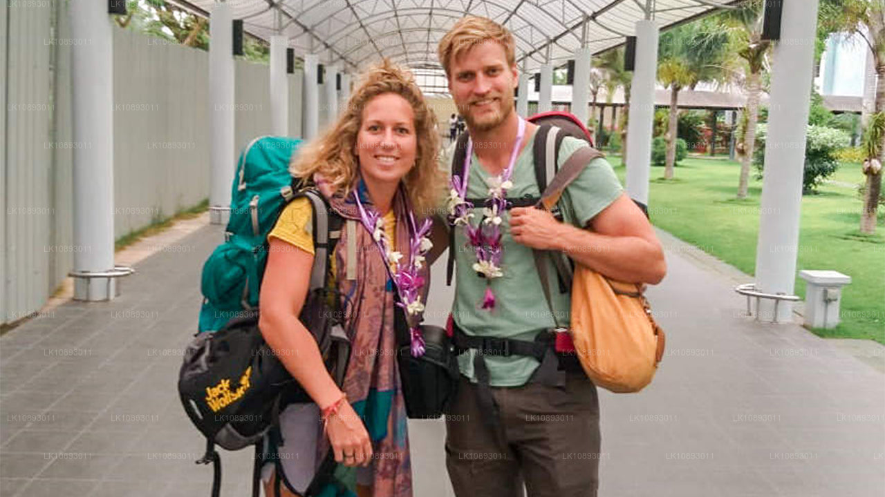 Wild Wonders (8 Dagar)