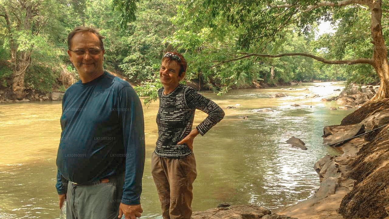 Wild Wonders (8 Dagar)