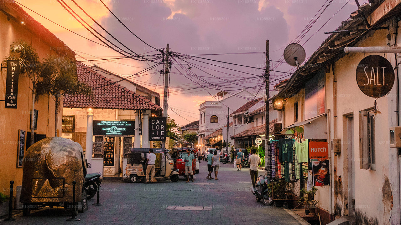 Wild Wonders (8 Dagar)