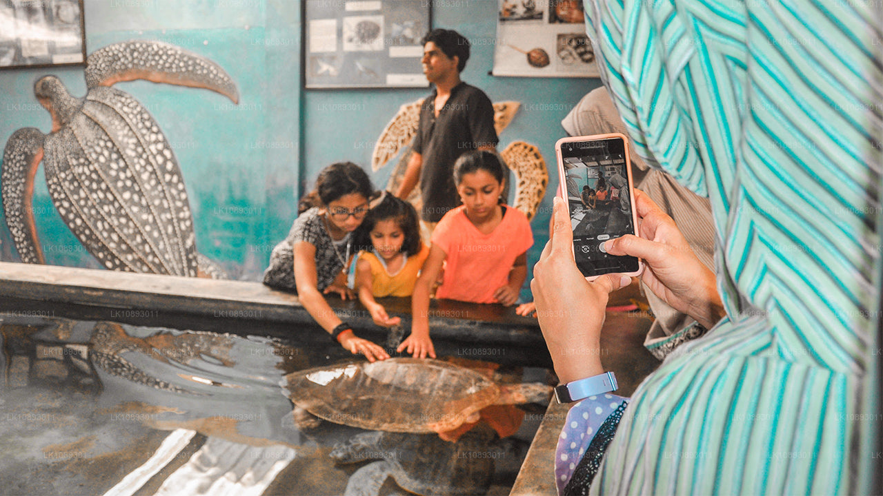 Wild Wonders (8 Dagar)